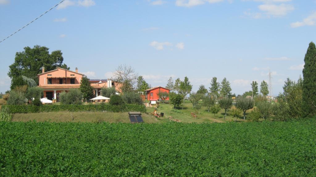 Agriturismo Consalvi Valentina Marsciano Exterior foto